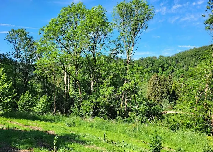 Grande Yourte Pour 4 Personnes A Chalet Aywaille